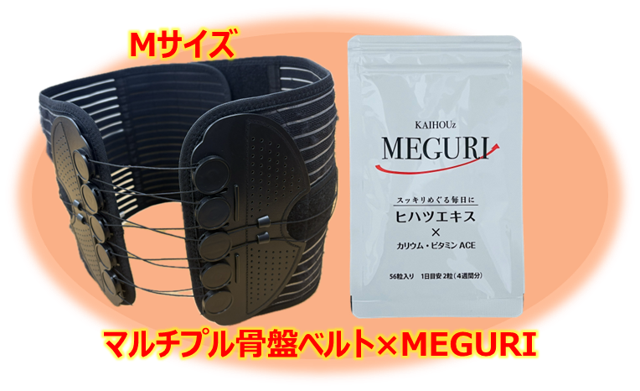 値下げ中◾️KAIHOUz美品マルチプル骨盤ベルト Lサイズ定価9900円カイホウ すべての商品 | KAIHOUzMART